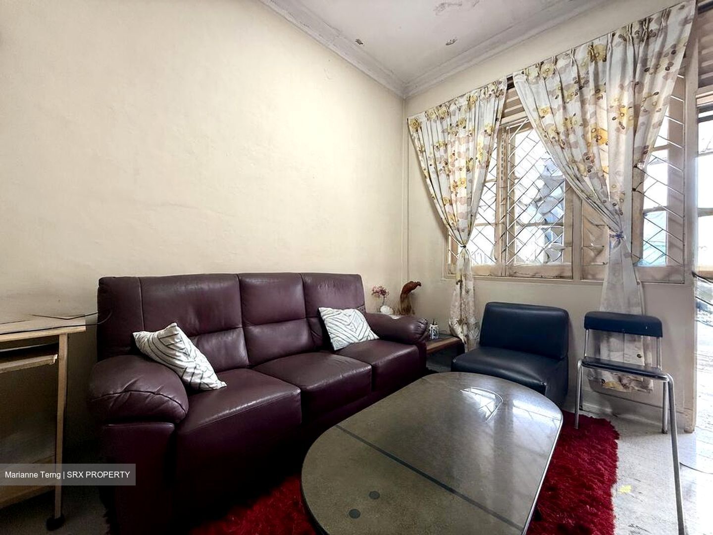 Serangoon Avenue 4 (D19), Terrace #486233711